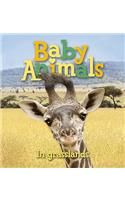 Baby Animals in Grasslands