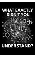 What Exactly Didn't You Understand?