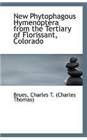 New Phytophagous Hymenoptera from the Tertiary of Florissant, Colorado