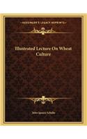 Illustrated Lecture On Wheat Culture