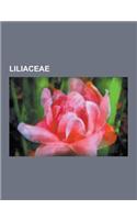 Liliaceae: Lilium, Lilium Pardalinum Subsp. Pitkinense, Lilium Grayi, Fritillaria, Lilium Nanum, Lilium Maritimum, Lilium Debile,
