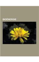 Bioenergie: Biomasse, Bois Energie, Chaudiere a Granules, Biogaz, Charbon de Bois, Methanisation, Incinerateur de Dechets, Granule(French)