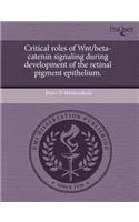 Summary and Evaluation of the Quality of Stormwater in Denver, Colorado, Water Years 1998-2001