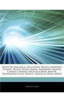 Articles on Biota of Anguilla, Including: White-Crowned Pigeon, White-Tailed Hawk, Sombrero Ameiva, Censky's Ameiva, Anguilla Bank Ameiva, Sphaerodactylus Parvus, Anguilla Bank Anole(English)