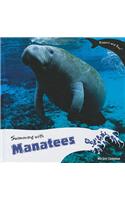 Swimming with Manatees