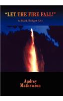 Let the Fire Fall!: A Black Budget City