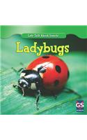 Incredible Ladybugs