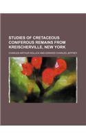 Studies of Cretaceous Coniferous Remains from Kreischerville, New York