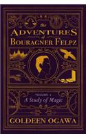 Adventures of Bouragner Felpz, Volume I