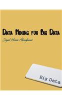 Data Mining for Big Data