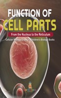 Function of Cell Parts: From the Nucleus to the Reticulum Cellular Biology Grade 5 Children's Biology Books