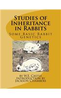 Studies of Inheritance in Rabbits