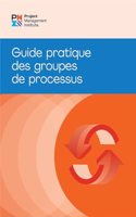 Process Groups (French Edition)