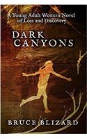 Dark Canyons: A Young Adult Western Novel of Loss and Discovery
