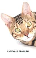 Cat Internet Password Organizer
