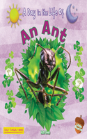 Ant