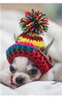 Chihuahua Notebook: Blank Lined Journal: Cute Chihuahua in a Hat