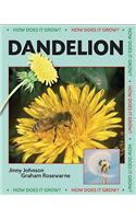 Dandelion