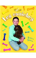 Les Caniches (Poodles)