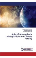 Role of Atmospheric Nanoparticles on Climate Forcing