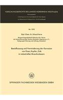 Beeinflussung Und Verminderung Der Korrosion Von Eisen, Kupfer, Zink in Industriellen Brauchwässern