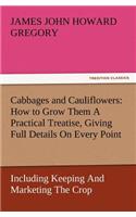 Cabbages and Cauliflowers: How to Grow Them a Practical Treatise, Giving Full Details on Every Point, Including Keeping and Marketing the Crop