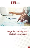 Stage de Statistique et Etudes Economiques