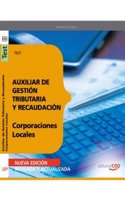 Auxiliar de Gestion Tributaria y Recaudacion de Corporaciones Locales. Test (Coleccion 62) (Spanish Edition)