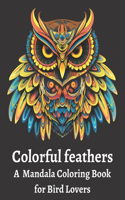 Colorful feathers