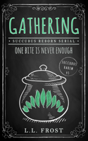 Gathering: Succubus Reborn Serial