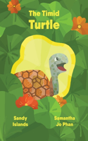 Timid Turtle