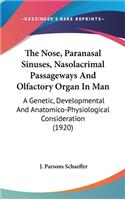 Nose, Paranasal Sinuses, Nasolacrimal Passageways And Olfactory Organ In Man