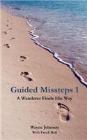 Guided Missteps 1: A Wanderer Finds His Way