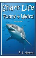 Shark Life Funny & Weird Sea Creatures