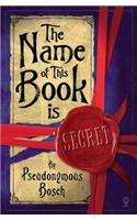 The Name of This Book is Secret: (The Secret Series)