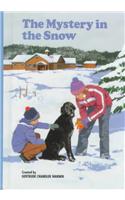 The Mystery in the Snow