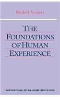 The Foundations of Human Experience
