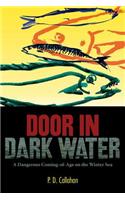 Door In Dark Water