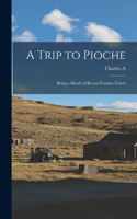 Trip to Pioche; Being a Sketch of Recent Frontier Travel