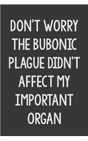 Don't Worry The Bubonic Plague Didn't Affect My Important Organs: Stiffer Than A Greeting Card: A Novelty Gag Gift For That Special Someone
