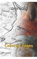 Animal Coloring Pages