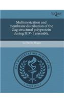 Multimerization and Membrane Distribution of the Gag Structural Polyprotein During HIV-1 Assembly
