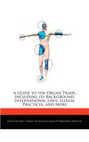 A Guide to the Organ Trade, Including Its Background, International Laws, Illegal Practices, and More