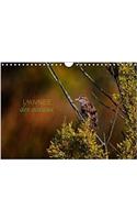 L'Annee Des Oiseaux 2018: Calendrier Regroupant Quelques Oiseaux Migrateurs Ou Passereaux(Calvendo Animaux)