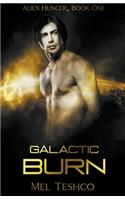 Galactic Burn