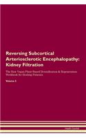 Reversing Subcortical Arteriosclerotic Encephalopathy: Kidney Filtration The Raw Vegan Plant-Based Detoxification & Regeneration Workbook for Healing Patients. Volume 5