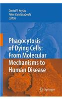 Phagocytosis of Dying Cells