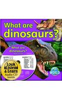 What Are Dinosaurs?