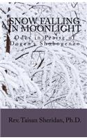 Snow Falling in Moonlight
