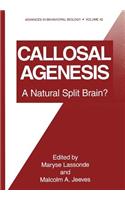 Callosal Agenesis